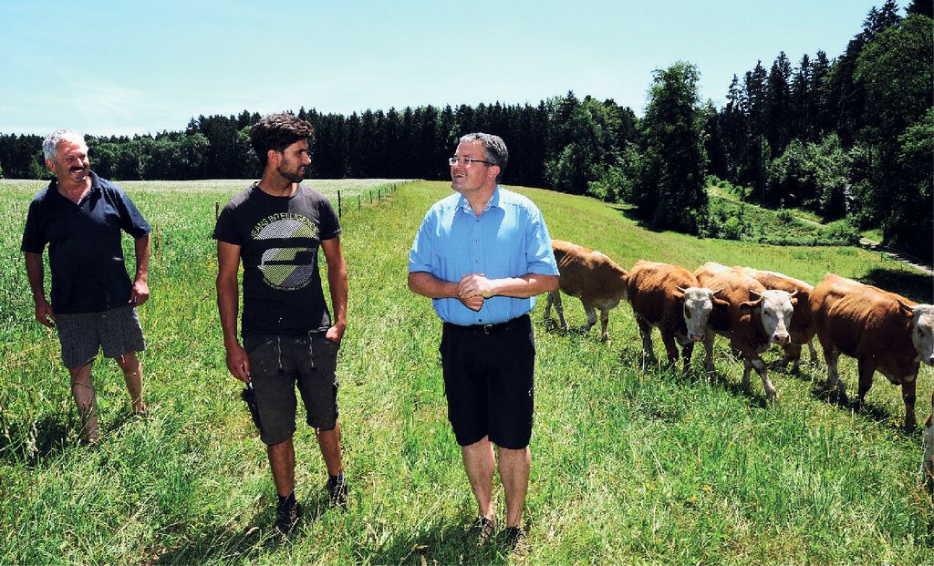 Erzeuger BioRind mit Kühen auf der Weide